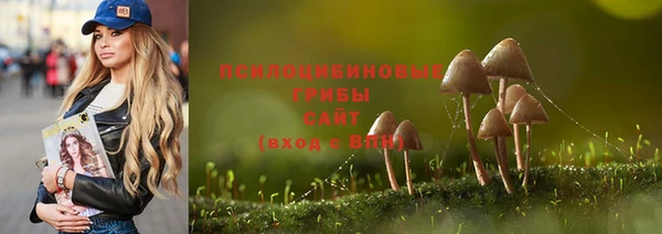 твердый Пересвет