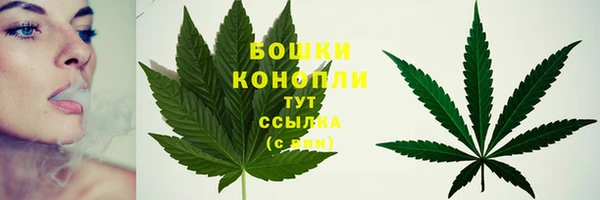 твердый Пересвет